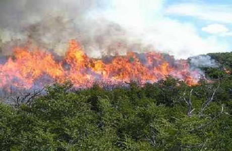 Alertan a turistas sobre los incendios forestales en Cuba