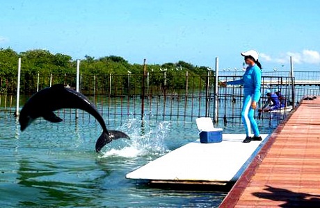 Inauguran nuevo delfinario en Jardines del Rey