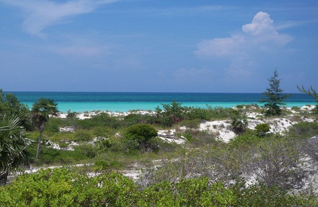 Realizan programa de protección de playas en Cuba